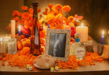 Tequila Don Julio se asocia con Rosetta de México