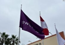 Los inversores detienen acuerdos con DP World por los vínculos del CEO con Epstein